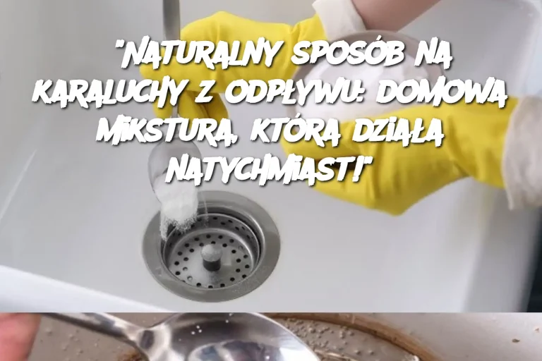 "Naturalny sposób na karaluchy z odpływu: domowa mikstura, która działa natychmiast!"