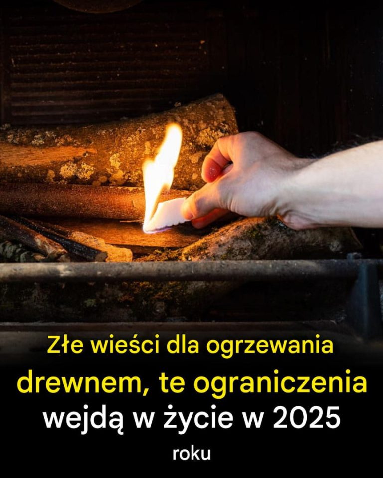 "Drewno w opałach: Co się zmieni w domowym ogrzewaniu w 2025 roku?"