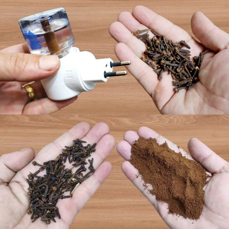 Naturalna Tarcza na Komary: Aromatyczna Moc Goździków w Domowym Odstraszaczu