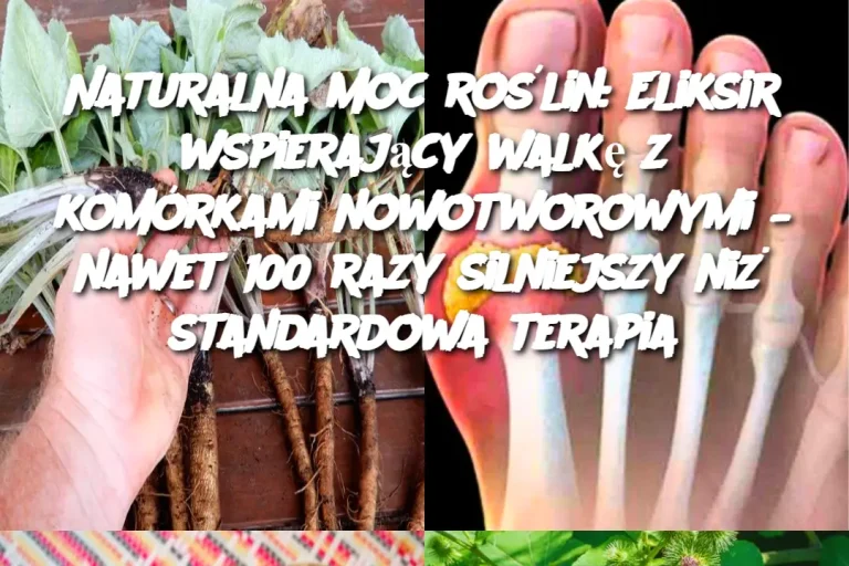 Naturalna moc roślin: Eliksir wspierający walkę z komórkami nowotworowymi – nawet 100 razy silniejszy niż standardowa terapia