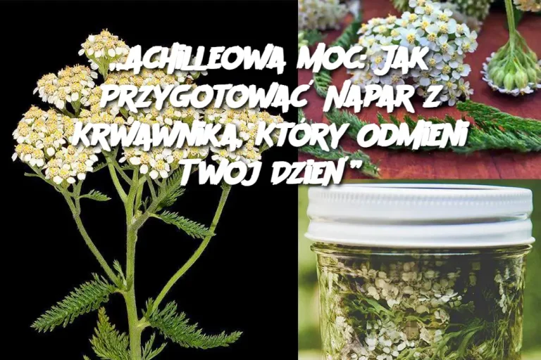 „Achilleowa Moc: Jak Przygotować Napar z Krwawnika, Który Odmieni Twój Dzień”