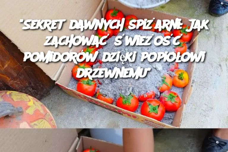 "Sekret dawnych spiżarni: Jak zachować świeżość pomidorów dzięki popiołowi drzewnemu"