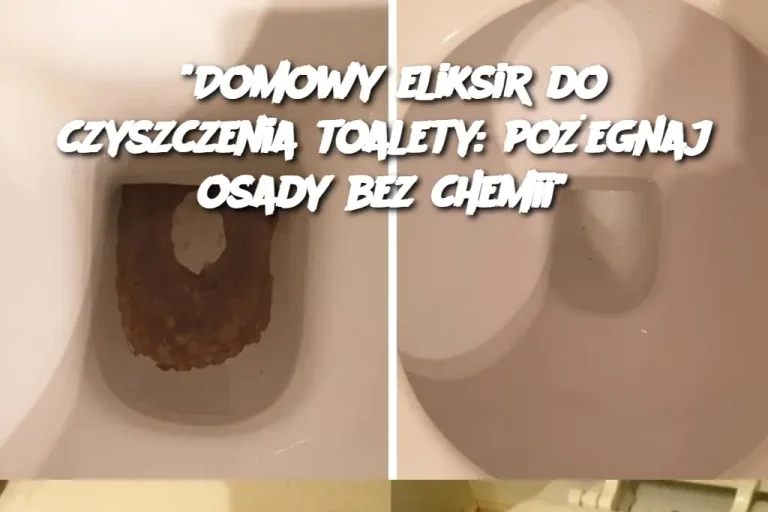 "Domowy eliksir do czyszczenia toalety: pożegnaj osady bez chemii"