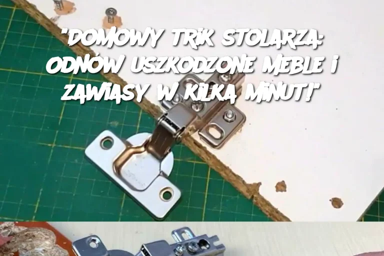 "Domowy trik stolarza: Odnów uszkodzone meble i zawiasy w kilka minut!"