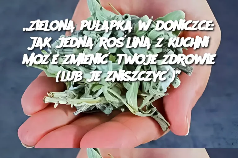 „Zielona pułapka w doniczce: Jak jedna roślina z kuchni może zmienić twoje zdrowie (lub je zniszczyć)”