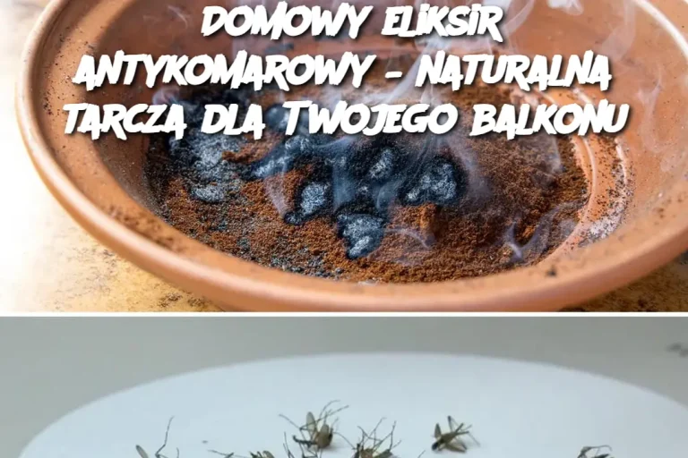 Domowy eliksir antykomarowy – naturalna tarcza dla Twojego balkonu