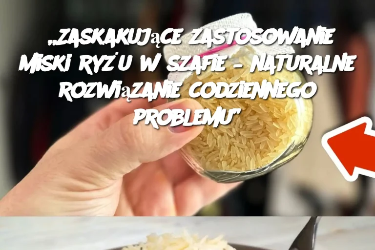 „Zaskakujące zastosowanie miski ryżu w szafie – naturalne rozwiązanie codziennego problemu”