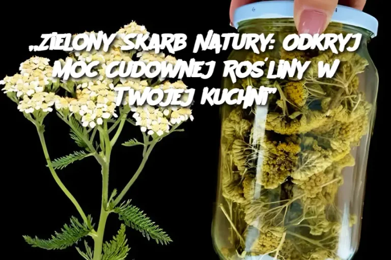 „Zielony Skarb Natury: Odkryj Moc Cudownej Rośliny w Twojej Kuchni”