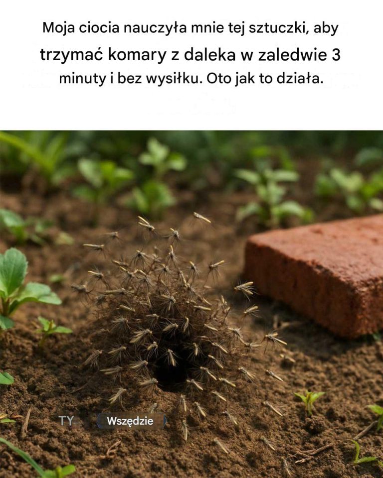 Nie miałem o tym pojęcia.