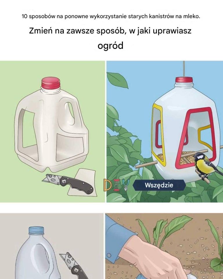 10 sposobów na ponowne wykorzystanie starych baniek po mleku. Zmień swój ogród na zawsze.